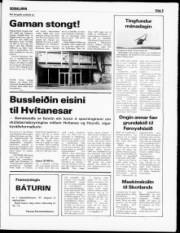 Síða 5