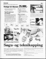 Síða 7