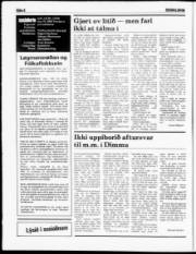 Síða 6