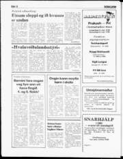 Síða 12