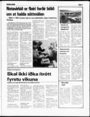 Síða 3