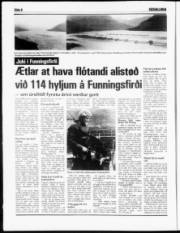 Síða 8