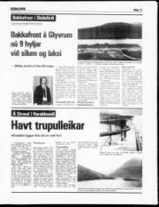 Síða 11