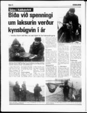 Síða 12