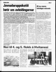 Síða 3
