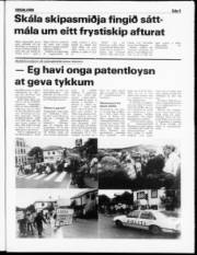 Síða 5