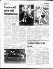 Síða 8