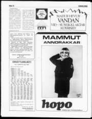 Síða 14