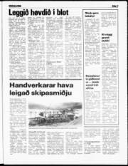 Síða 3