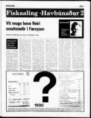 Síða 7