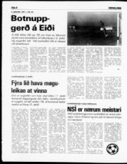 Síða 8