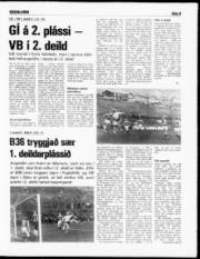 Síða 9