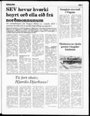 Síða 3