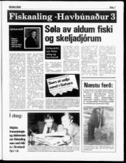Síða 7