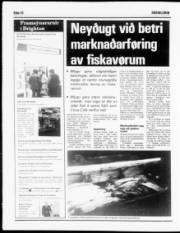 Síða 10