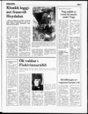 Síða 3