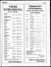 Síða 13