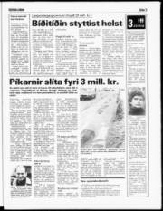 Síða 3