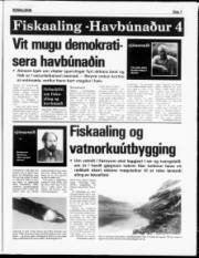 Síða 7