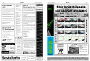 Síða 13