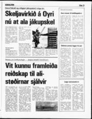 Síða 13