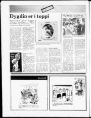 Síða 20