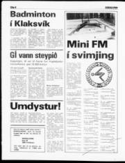 Síða 8