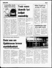 Síða 5
