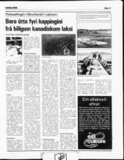 Síða 11