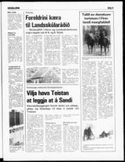 Síða 5