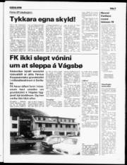 Síða 5