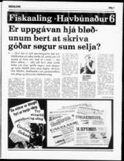 Síða 7