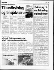 Síða 13