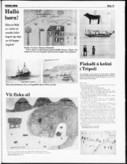 Síða 17