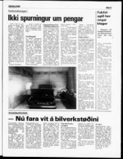 Síða 5