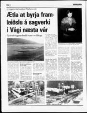 Síða 8