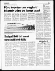 Síða 5