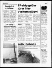 Síða 5