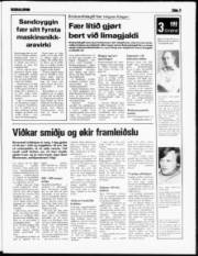 Síða 3