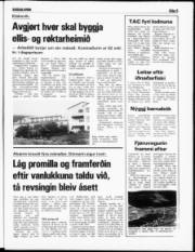 Síða 5