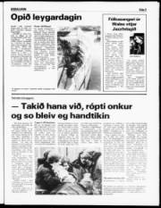 Síða 5