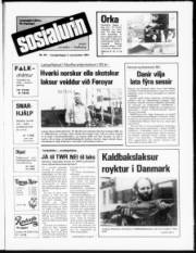 Síða 1