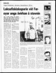 Síða 3