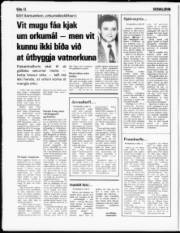 Síða 12