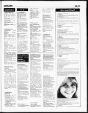 Síða 19