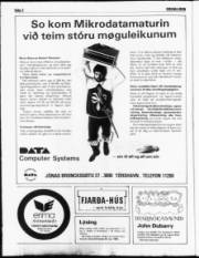 Síða 2