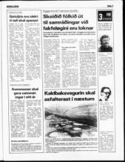 Síða 3