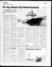 Síða 5