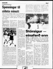Síða 9