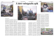 Síða 9